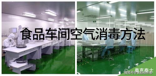 食品生產(chǎn)車間空氣消毒的三大有效方法與霉菌消毒劑應用指南